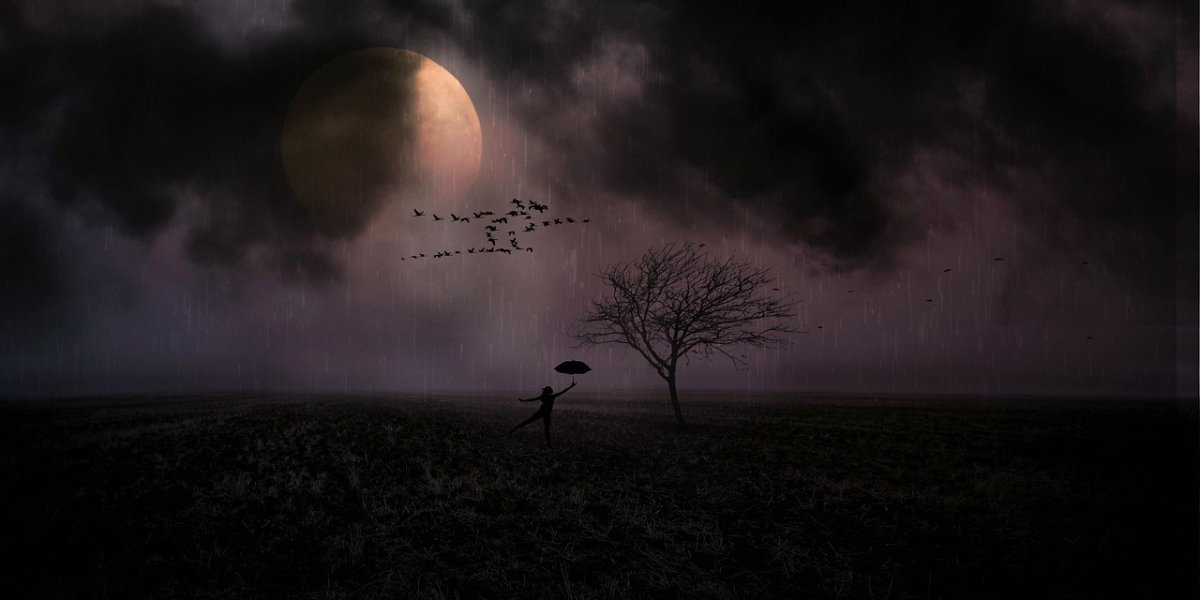 Фото: pixabay.com