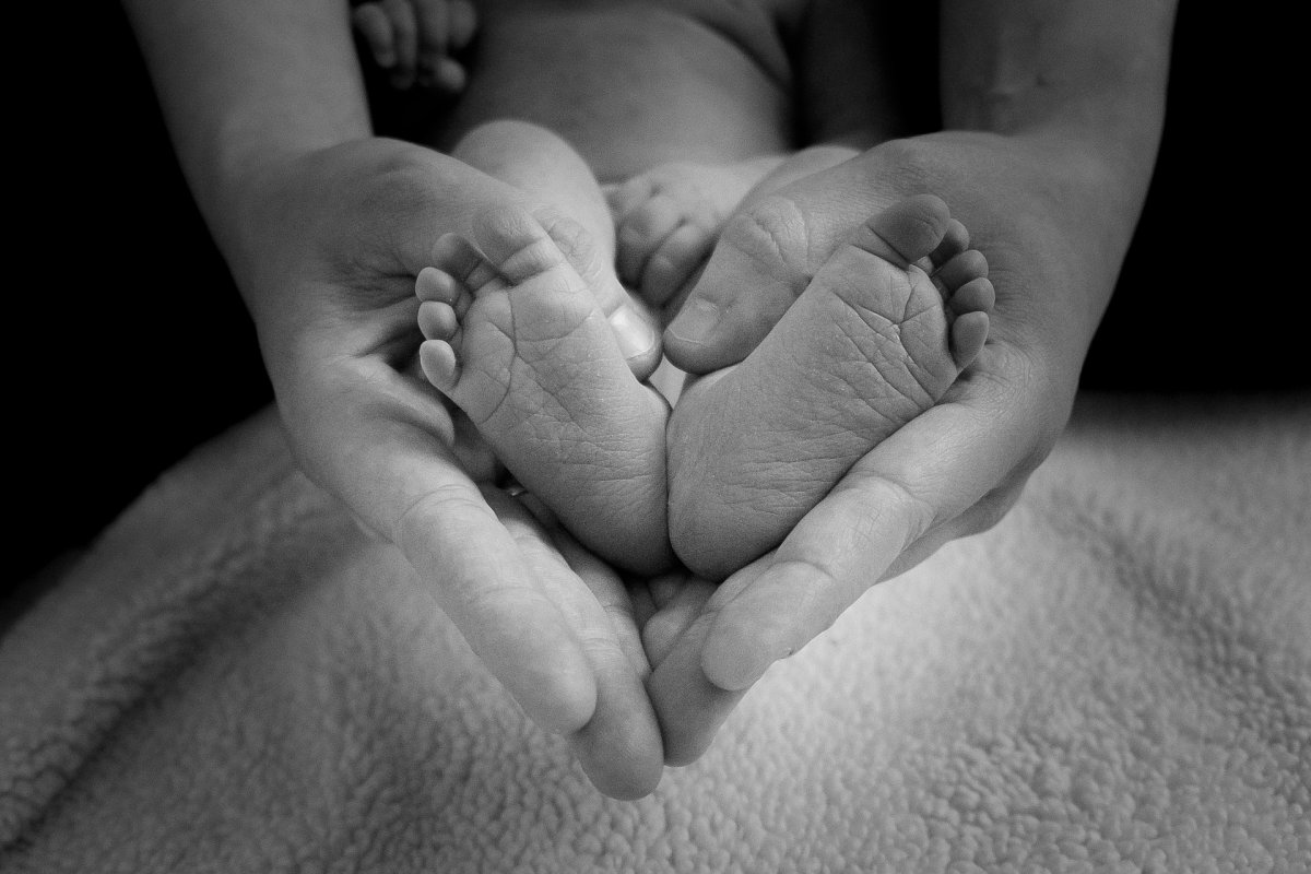 Фото: pixabay.com
