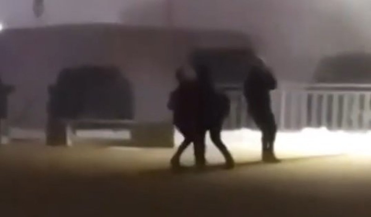 Фото: видеодан скриншот