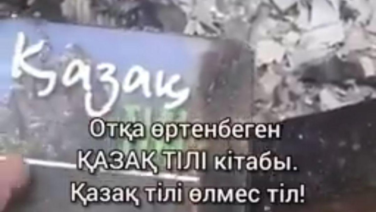 фото: видеодан скриншот