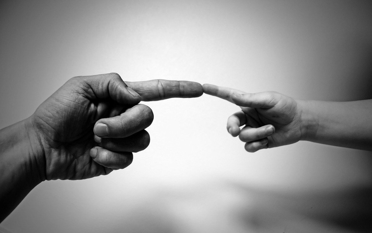 Фото: pixabay.com
