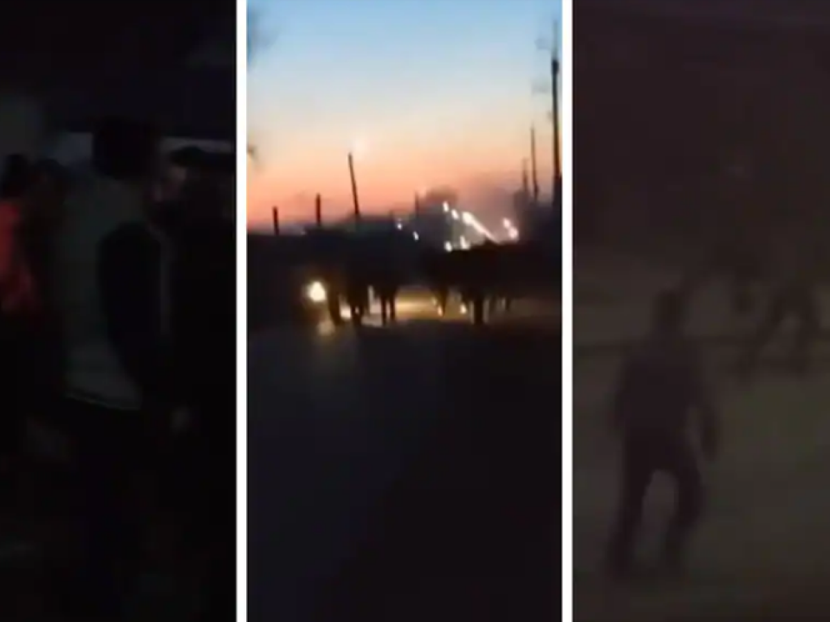 Фото: видеодан скриншот
