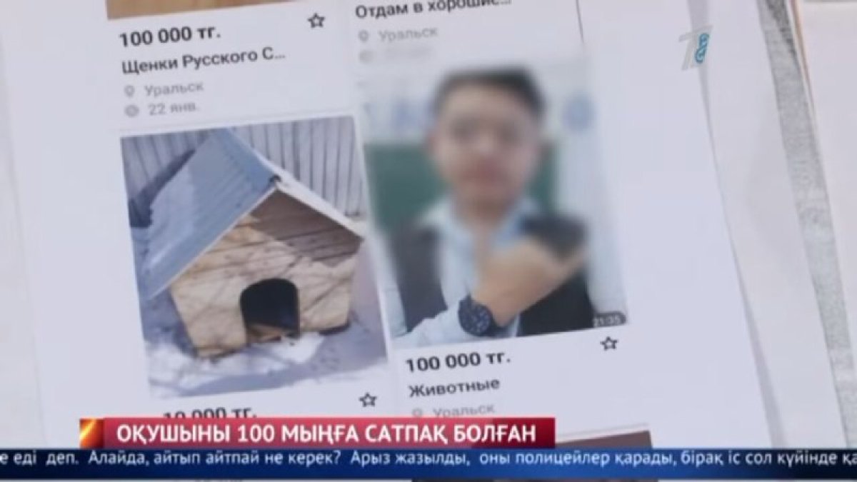 Фото: кадрдан скриншот