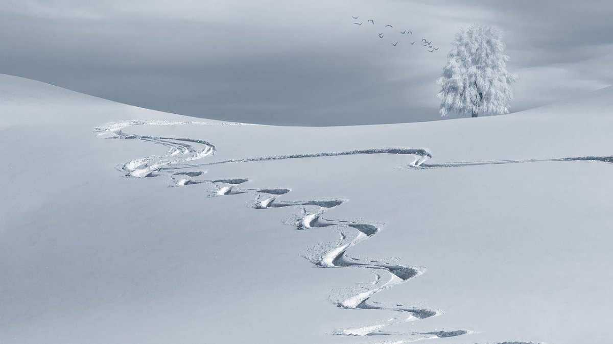 Фото: pixabay.com