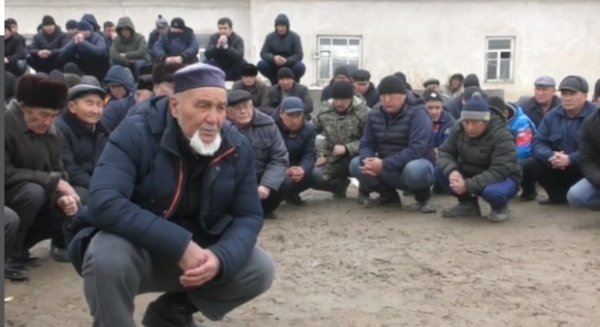 фото: видеодан скриншот