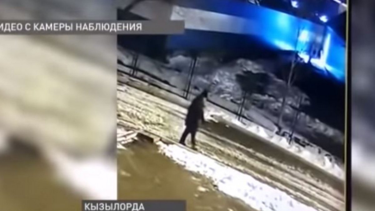 Фото: видеодан скриншот
