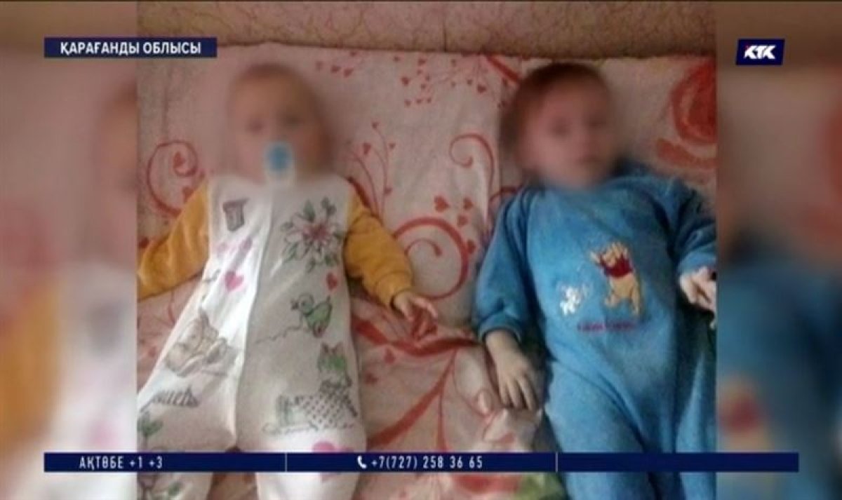Фото: видеодан скриншот