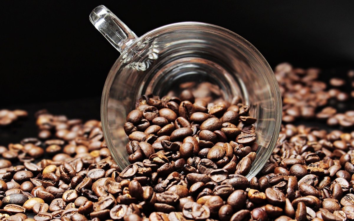 фото: pixabay.com