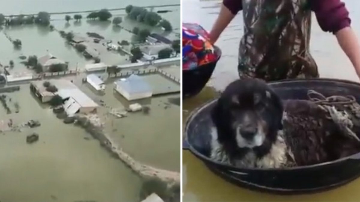 фото: Сәкен Сыбанбайдың facebook-парақшасынан