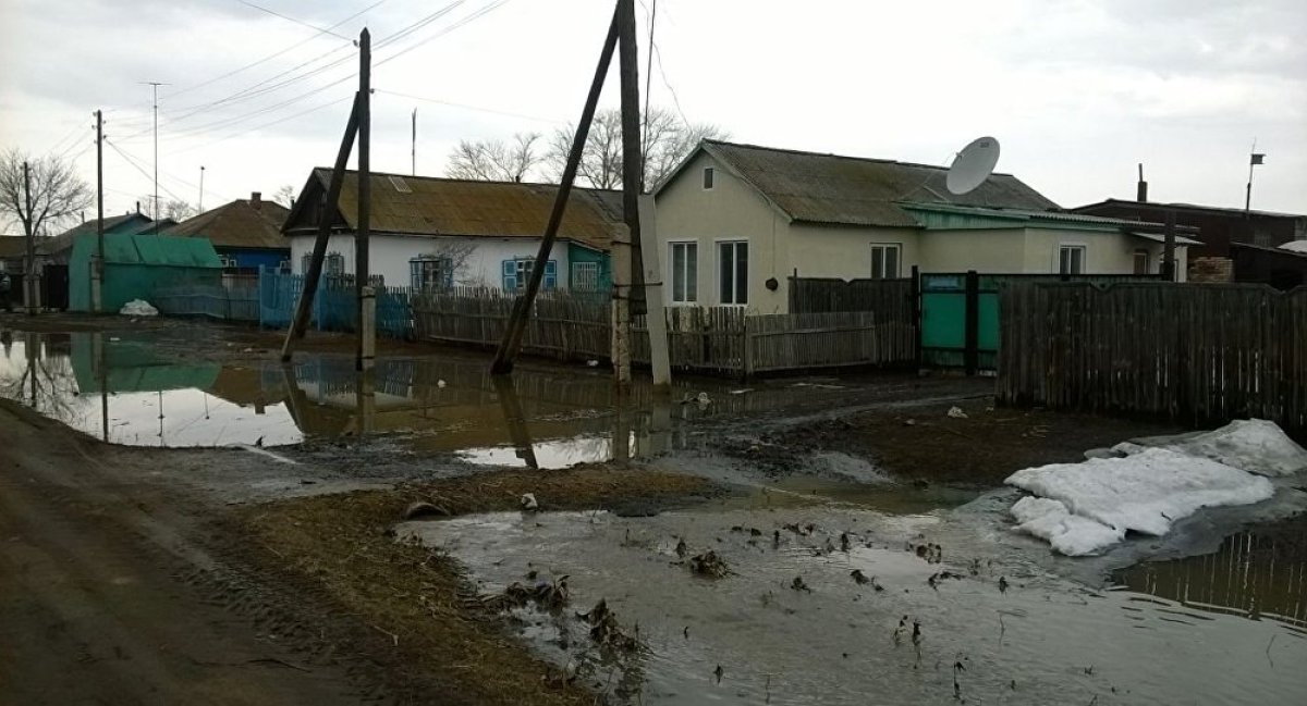 фото: sputniknews.kz