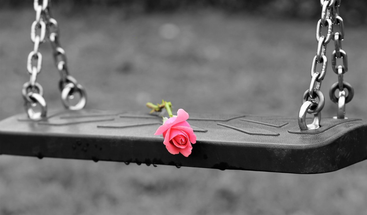 фото: pixabay.com