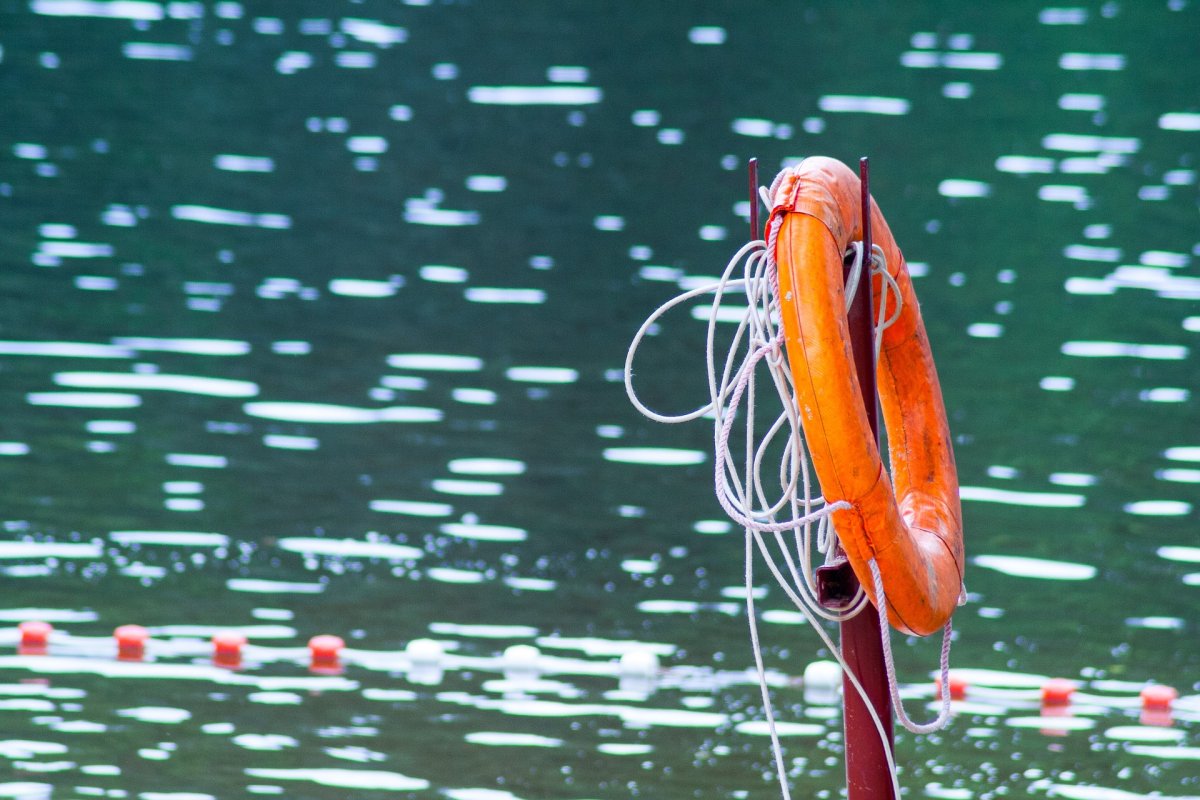 фото: pixabay.com