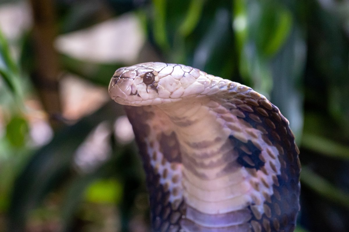 фото: pixabay.com