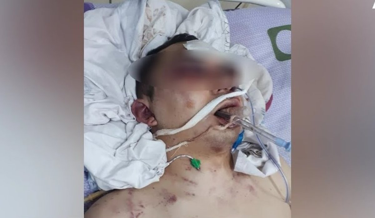 фото: видеодан скриншот