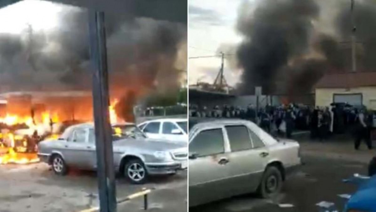 фото: видеодан скриншот