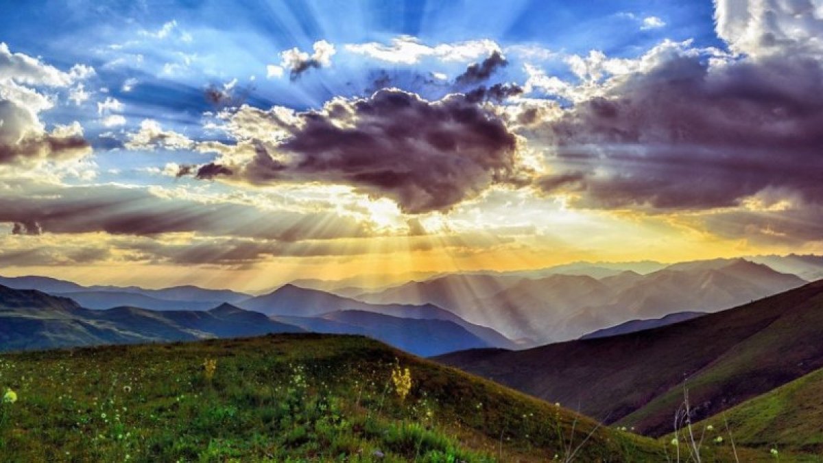 Фото: pixabay.com