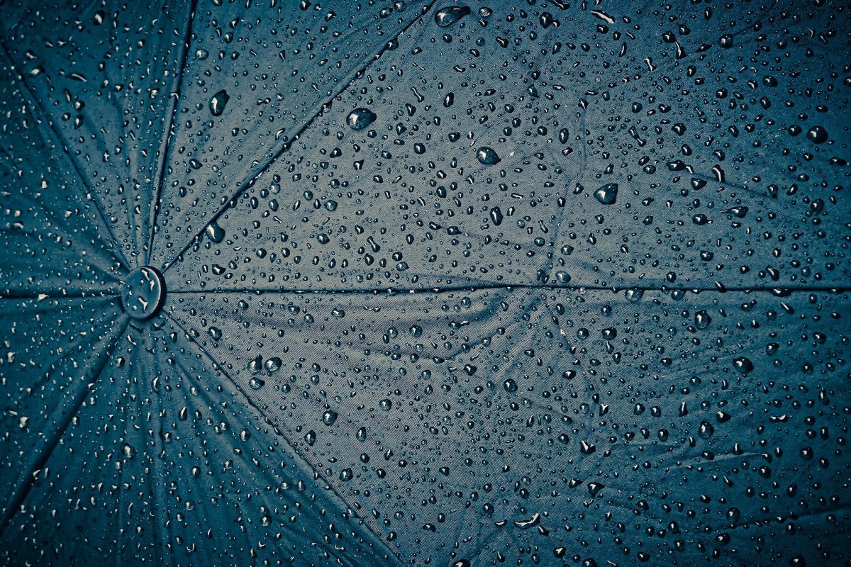 Фото: pixabay.com