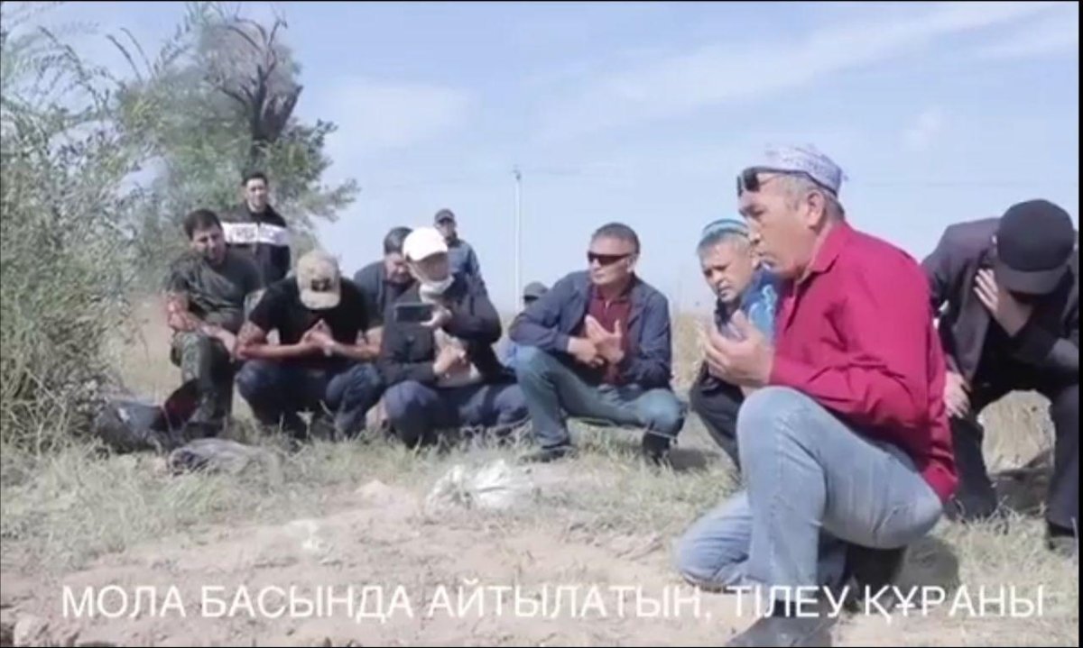 фото: видеодан скриншот