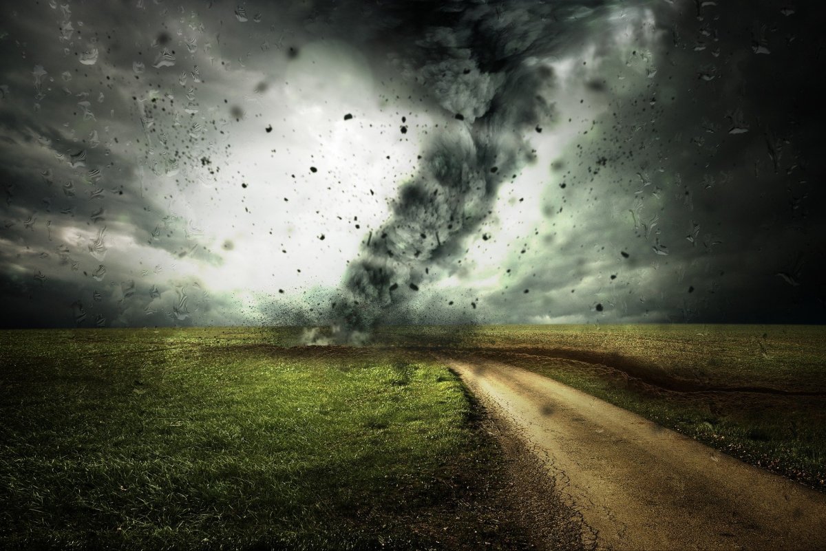 фото: pixabay.com