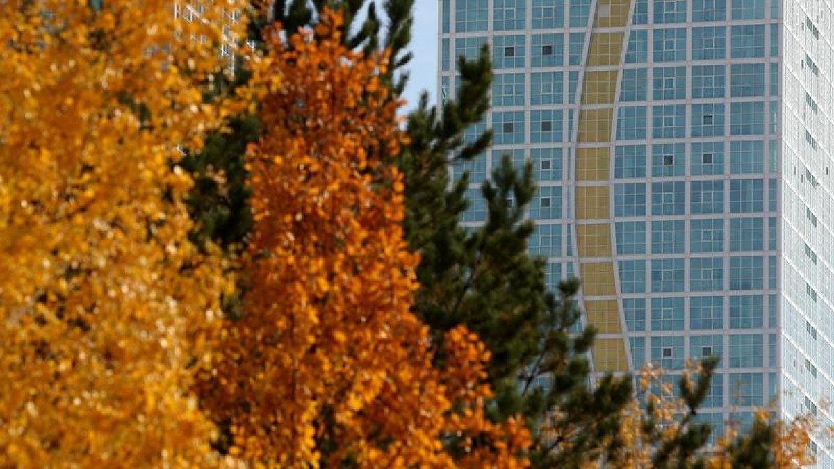 Фото: ашық дереккөз