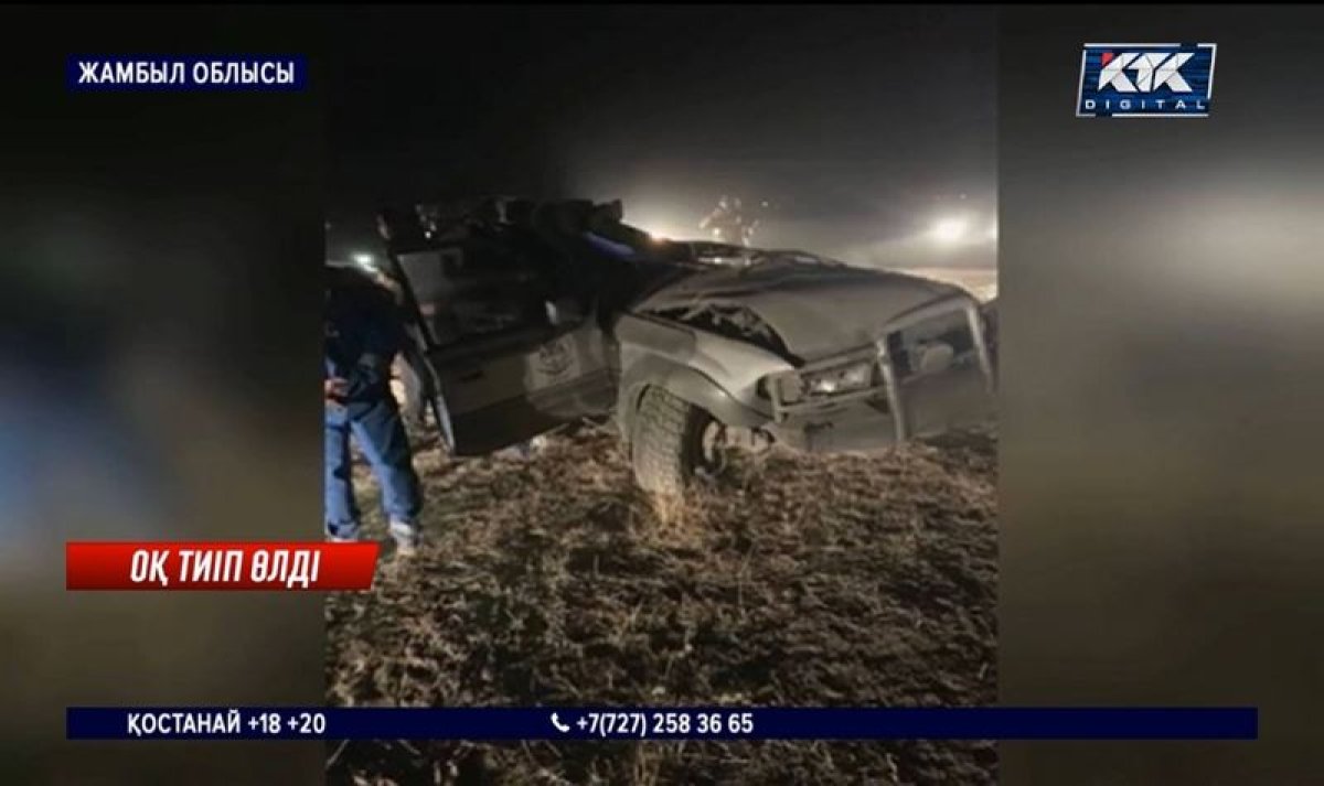 Фото: видеодан скриншот