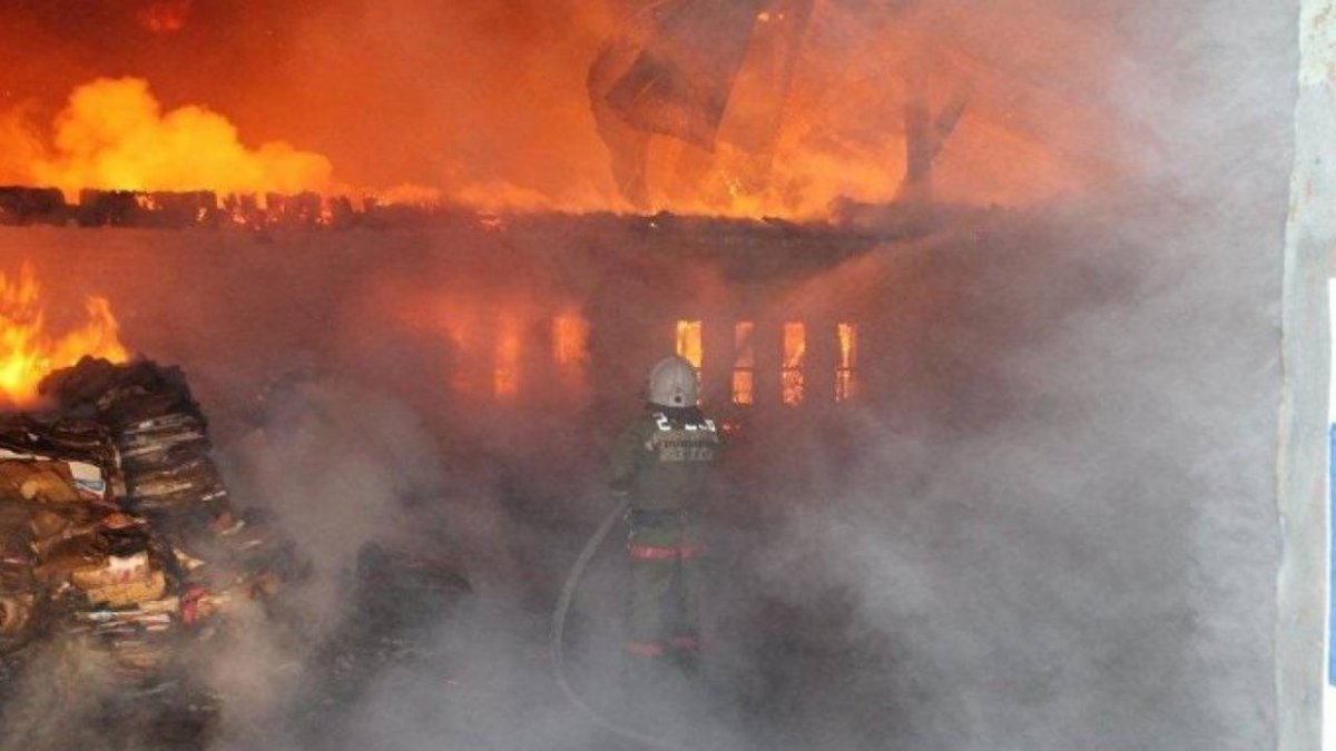 Фото: Sputniknews.kz