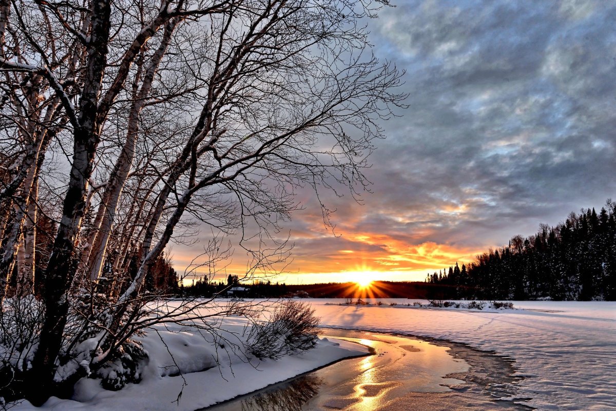 фото: pixabay.com