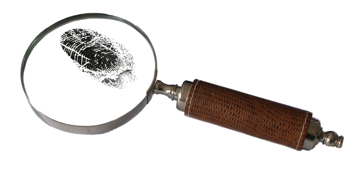 фото: pixabay.com