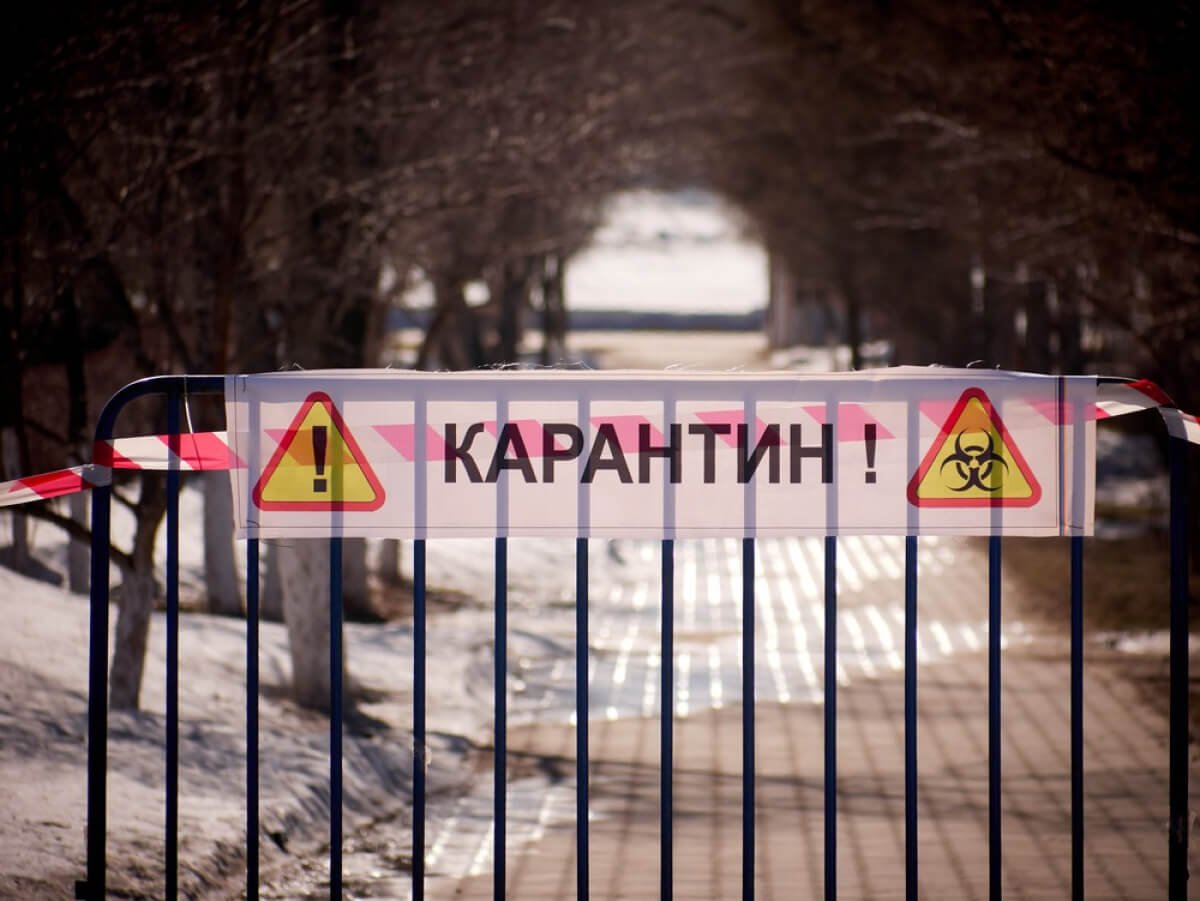 Фото: ашық дерек көзі