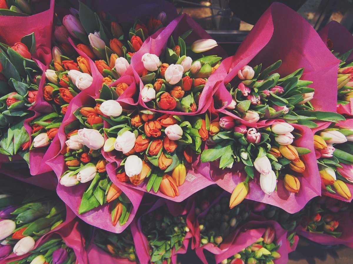 фото: pixabay.com