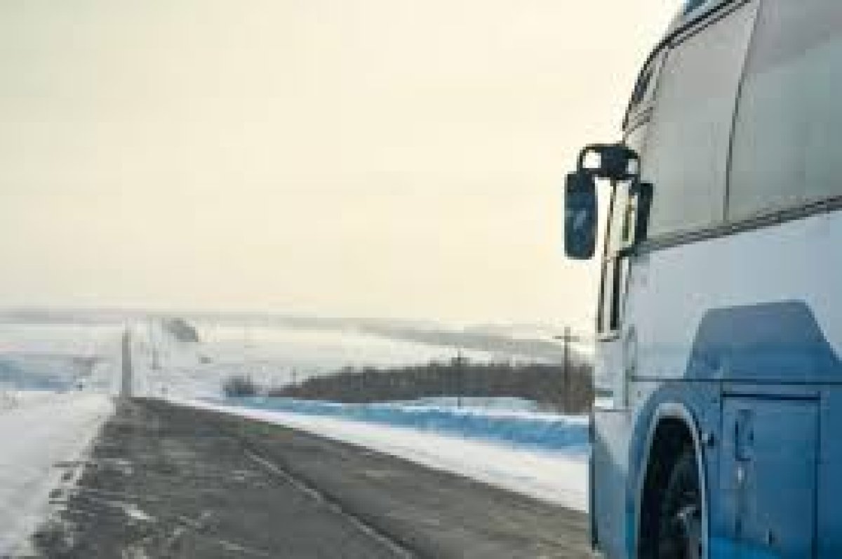 Фото: ашық дереккөзі