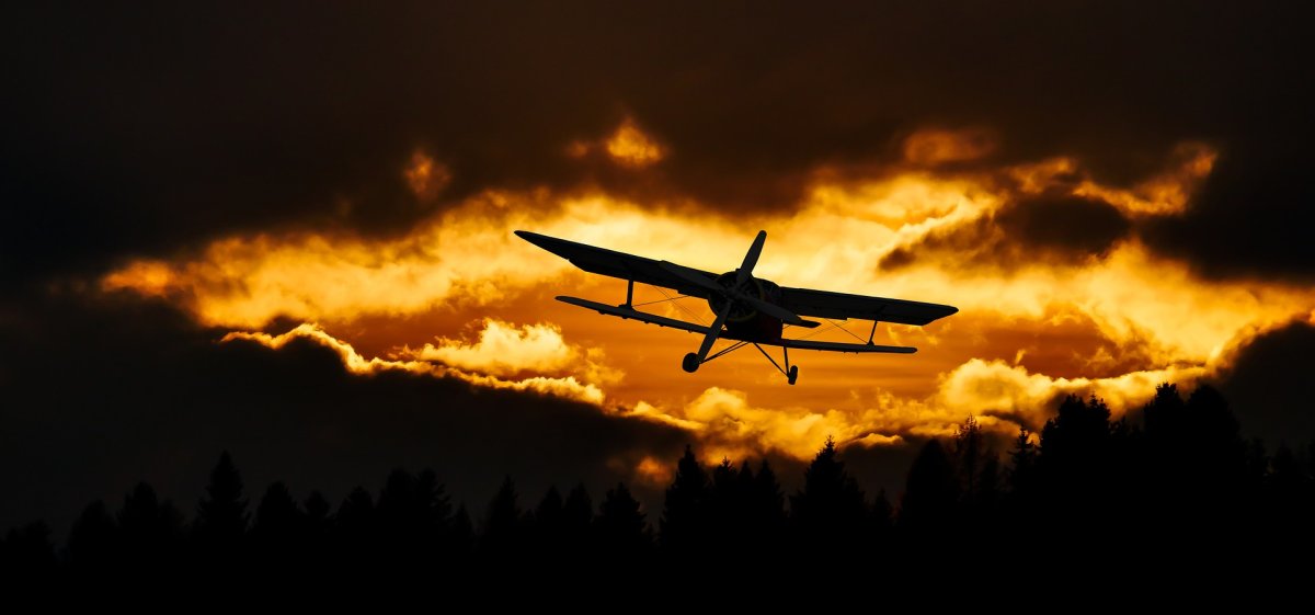 фото: pixabay.com