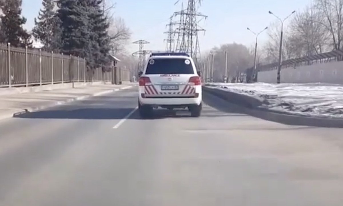 Фото: видеодан скриншот