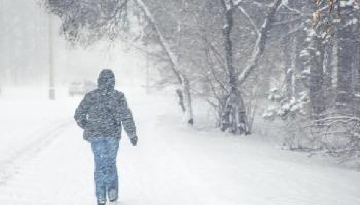 Фото: ашық дереккөзі