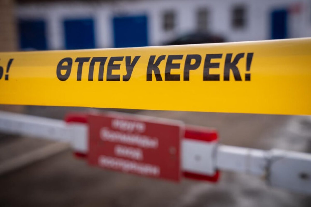фото: liter.kz