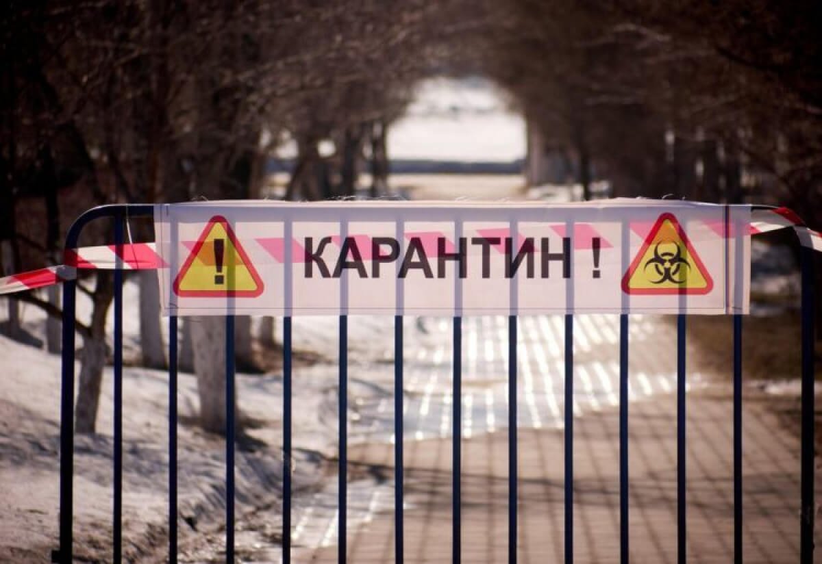 Фото: ашық дереккөз