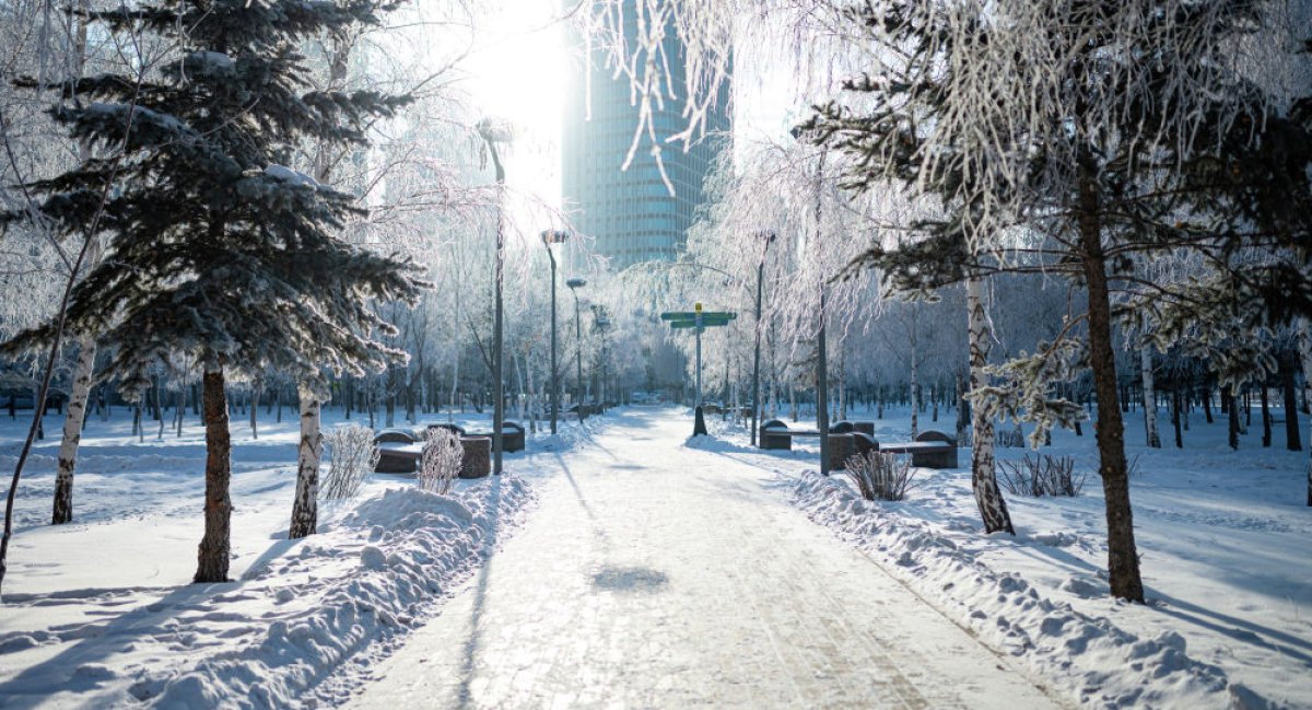 Фото: ашық дереккөз