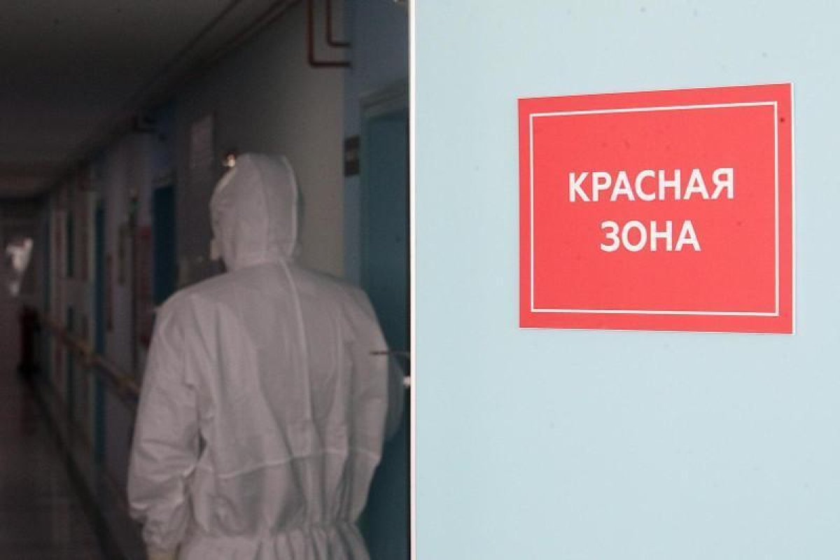Фото: ашық дереккөзі
