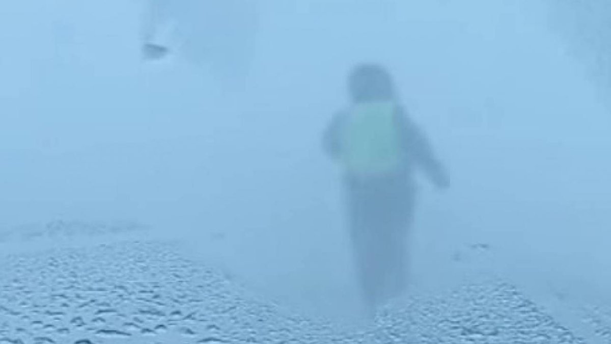 Фото: видеодан скриншот