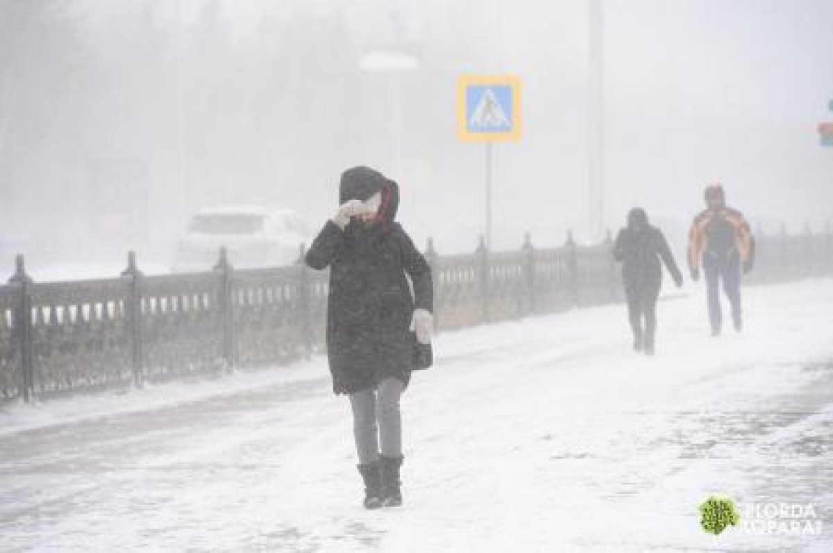 Фото: ашық дереккөзі