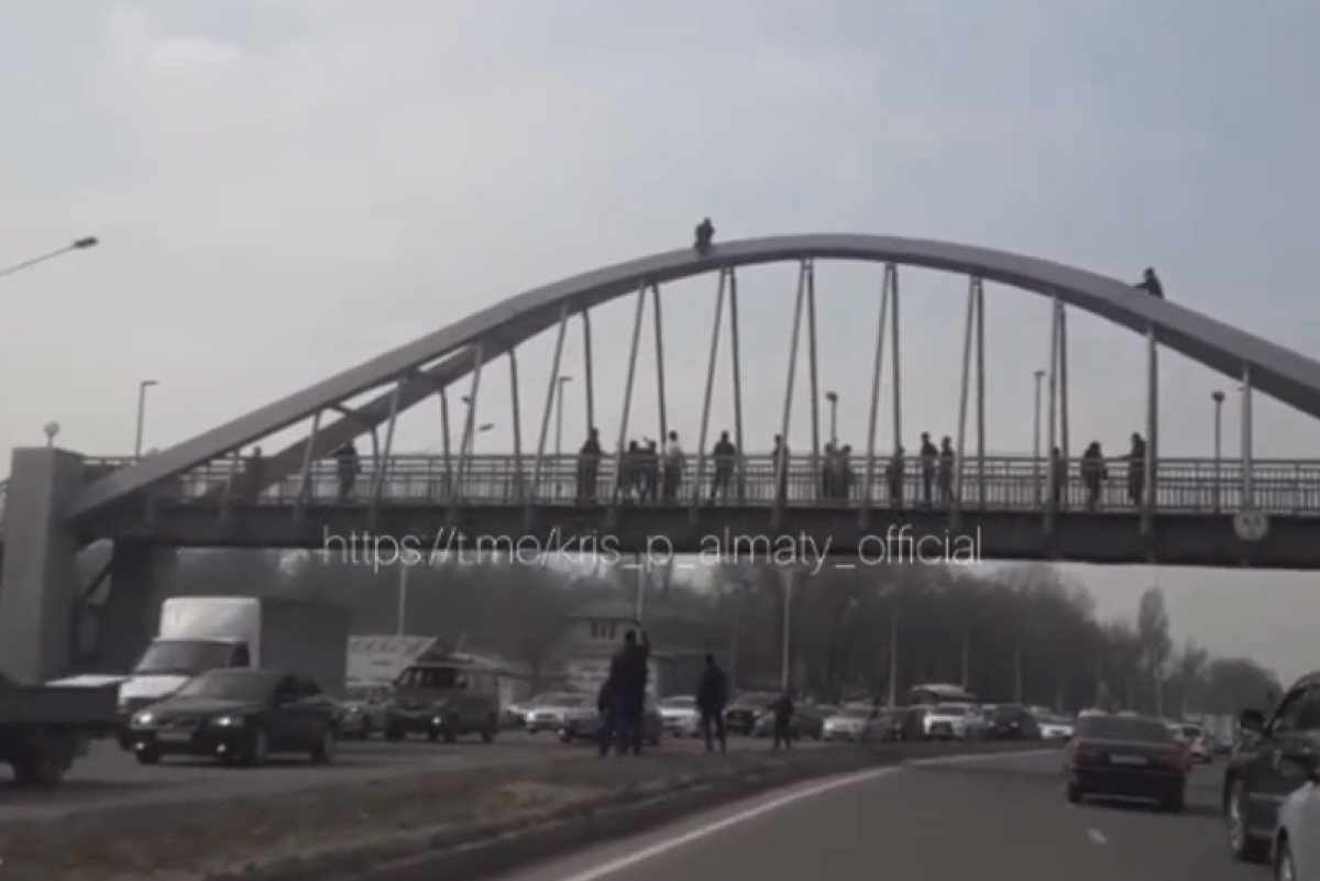 Фото: видеодан скриншот
