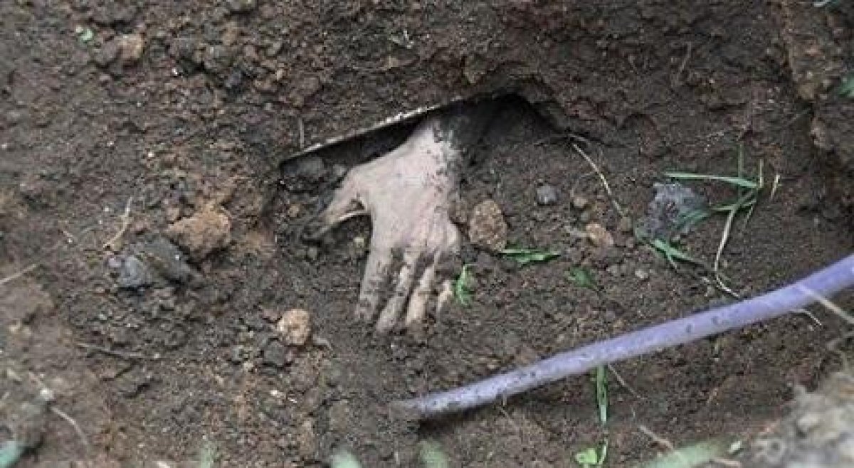 Фото: ашық дереккөзі