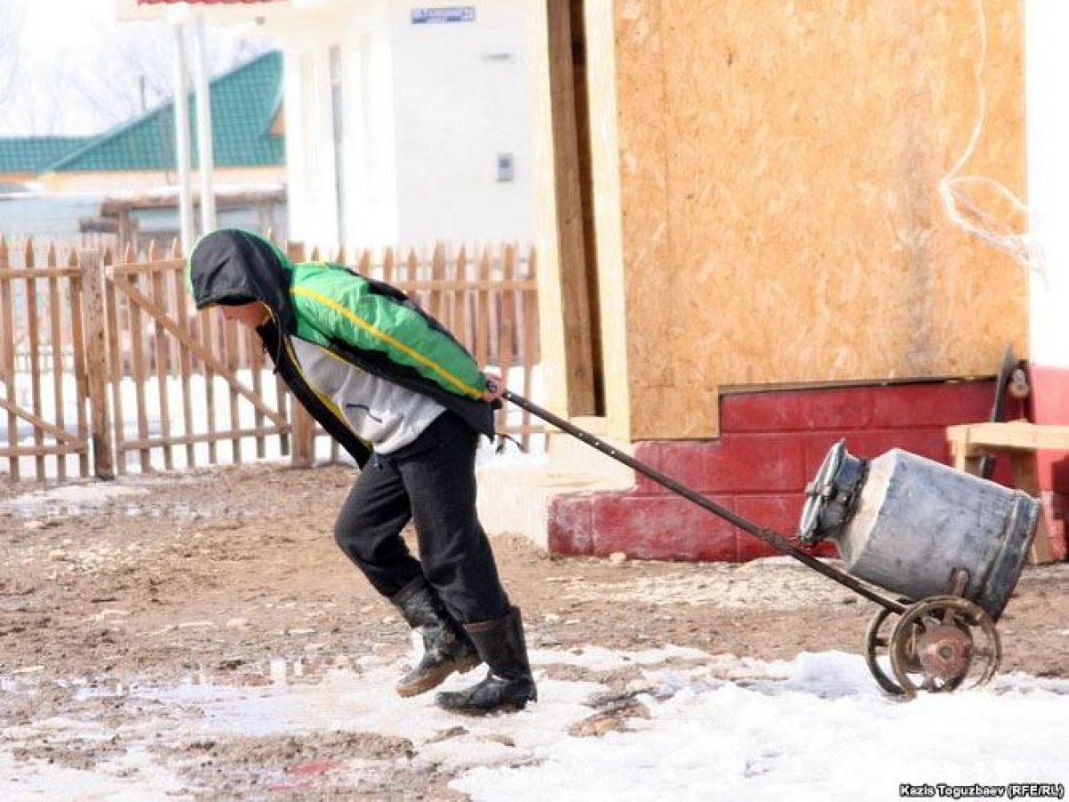 Фото: ашық дереккөзі