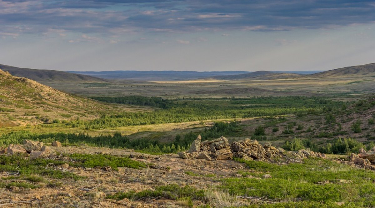 Фото: ашық дереккөзі
