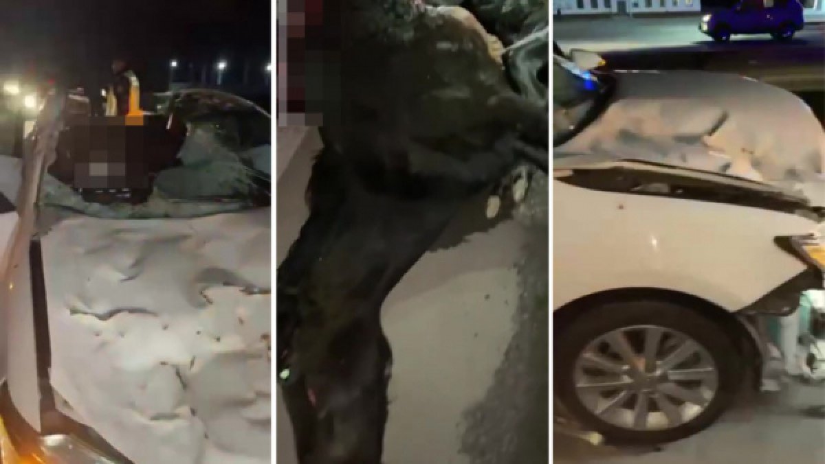 Фото: видеодан скриншот