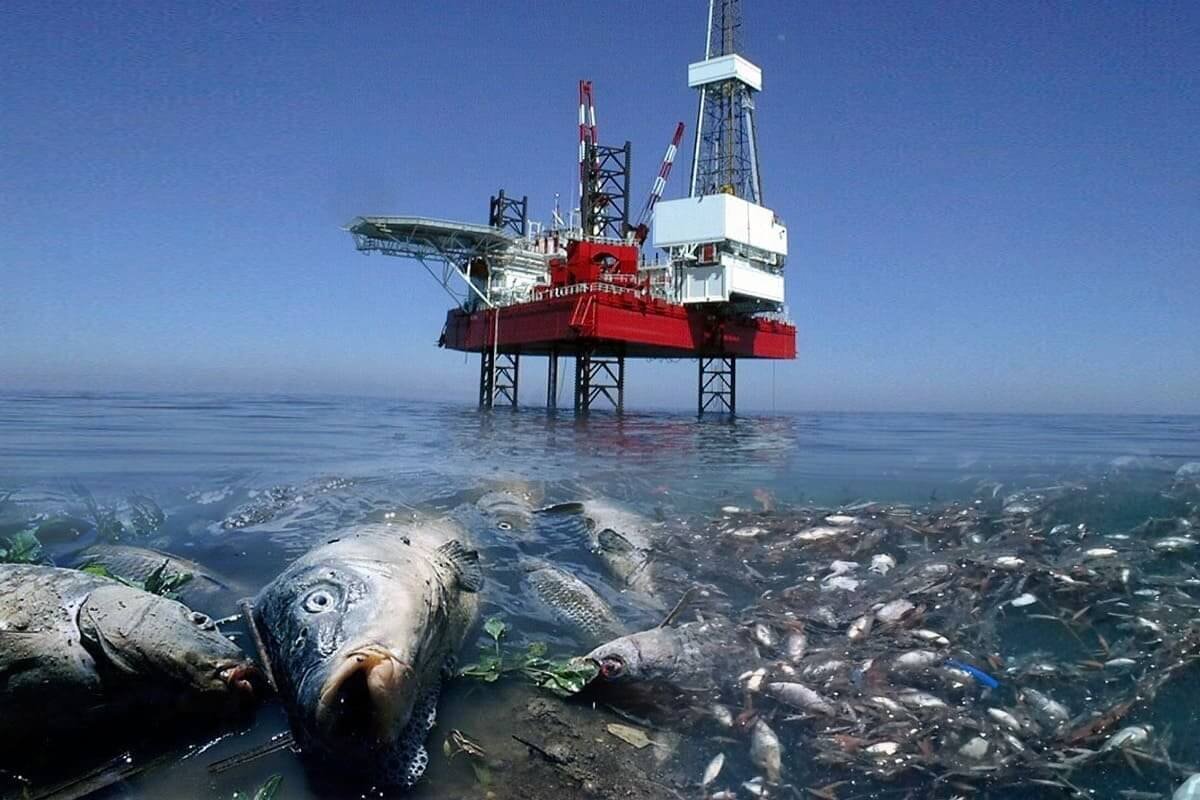 Фото: neftegaz.ru