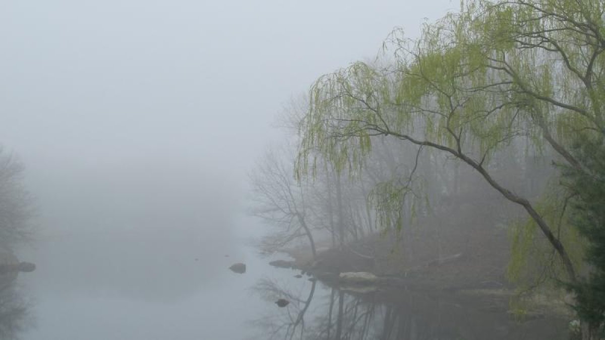 Фото: baq.kz