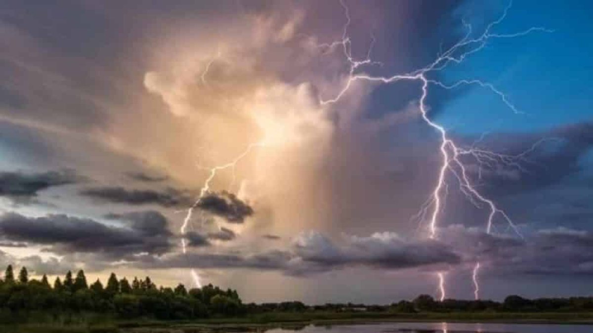 Фото: ашық дереккөзі