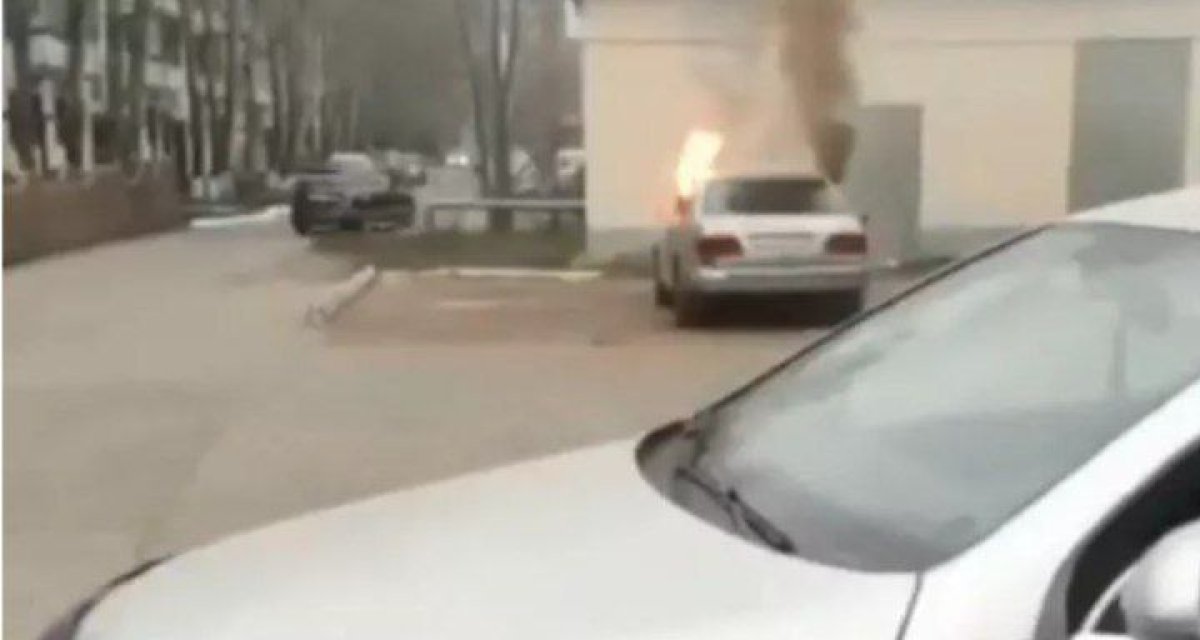 Фото: видеодан скриншот