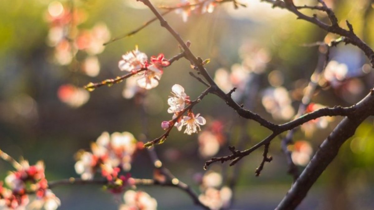Фото: tengrinews.kz